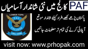 PAF College Lower Topa Latest Jobs Update