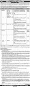 Today-Pakistan-Wapda-Jobs-2024-News-Paper